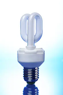 Energy Saving Light Bulbs Prints: Bulb