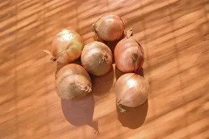 Common Kitchen Onion Prints: Bulb, onion