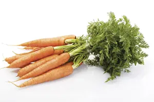 Vegetarian Nutrition Prints: Bunch of carrots