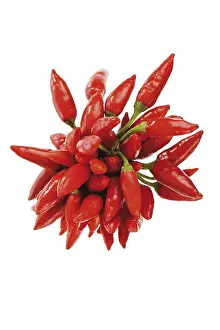 Cut Vegetable Photography Prints: Bunch of chilis