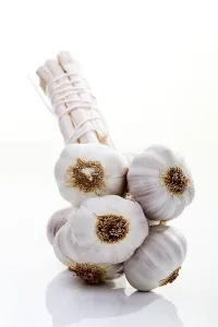 Garlic Bulb Prints: Bunch of garlic bulbs