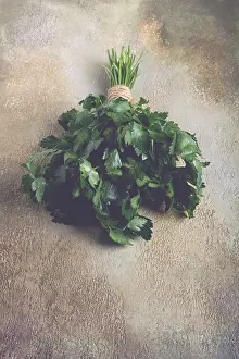 Fresh Parsley Prints: Bunch of parsley, on the table