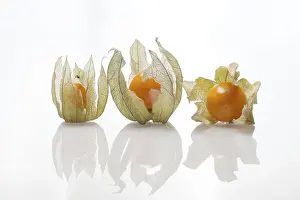 Exotic Fruit Prints: Bunch physalis with shadow on white background