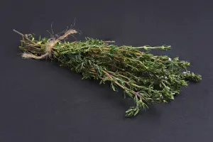 Dark Colored Background Prints: Bunch of thyme on black background