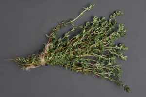 Black Background Still Life Prints: Bunch of thyme on black background, top view