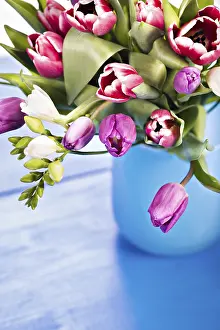 Tulip Bouquet Prints: Bunch of tulips