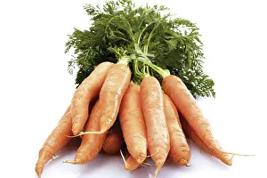 Studio Vegetable Shots Prints: A bundle of carrots