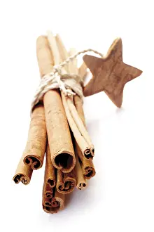 Cinnamon Sticks Prints: A bundle of cinnamon sticks