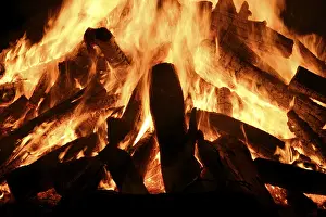 Burning Firewood Prints: Burning campfire