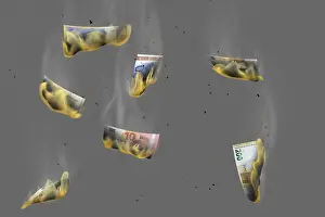 Euro Currency Finance Prints: Burning euro notes