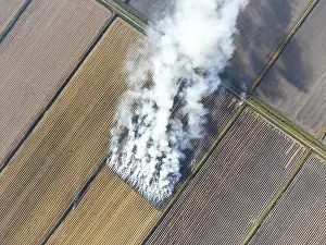 Deserted Farm Fields Prints: The burning of rice straw in the fields