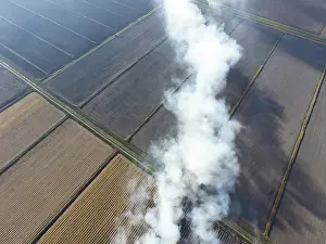 Deserted Farm Field Scene Prints: The burning of rice straw in the fields