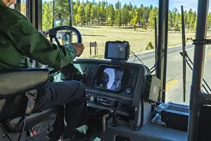 Pine Tree Landscape Prints: Bus driver operating a shuttle vehicle