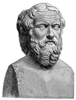 Ancient Greek Historian Prints: Bust of Herodotus of Halicarnassus