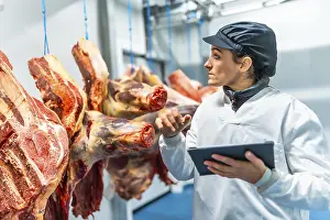 Protective Clothing For Workers Prints: Butcher using technology in a innovative meat processing factory checking the meat using digital tablet