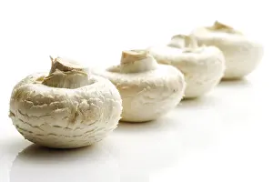 Button Mushrooms Prints: Button Mushrooms, Champignons (Agaricus)