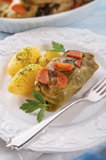 Healthy Lunch Options Nutrition Prints: Cabbage roll