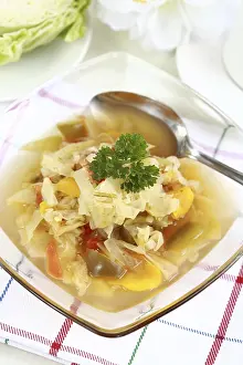Vegetable Meal Ideas Prints: Cabbage soup with vegetable