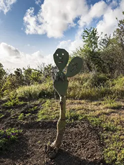 Deserted Canary Island Landscape Prints: Cactus with a carved face serving as a guide