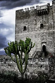 Kolossi Castle Cyprus Prints: Cactus in front of Kolossi castle