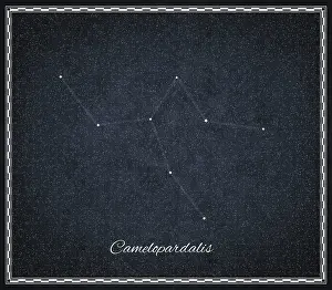 No People Starlit Sky Prints: Camelopardalis star constellation