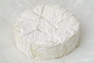 Camembert Cheese Prints: Camembert Cheese