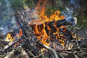 Forest Landscape Photography Prints: Campfire in the forest close up