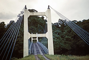 Primeval Forest Landscape Photography Prints: Caption: Road bridge into the interior