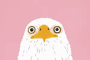 Bald Eagle Illustration Prints: A captivating illustration of a bald eagle