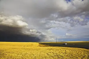 Deserted Highway Prints: The car on highway among the fields