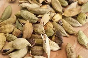 Studio Shot Of Spices Prints: Cardamom