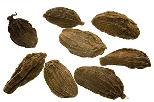 Cardamom Spice Prints: Cardamom