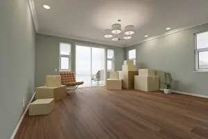 Empty Room Prints: Several cardboard moving boxes