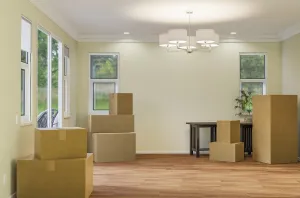 New Construction Site Prints: Several cardboard moving boxes