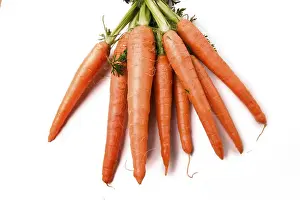 Grocery Store Produce Prints: Carrots
