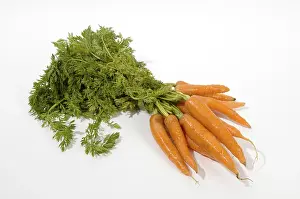 Exposed Food Photography Prints: Carrots