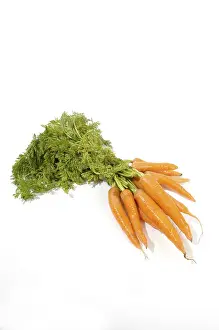 Nutrition Food Prints: Carrots