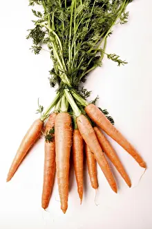 Grocery Store Produce Prints: Carrots