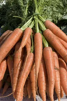 Vegetable Health Benefits Prints: Carrots