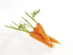 Grocery Store Produce Prints: Carrots