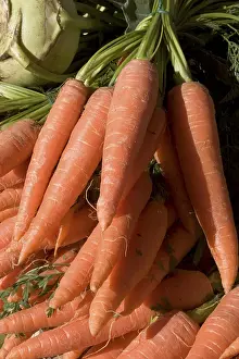 Weekly Market Produce Prints: Carrots
