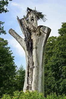 Europe Deserted Landscapes Prints: Carved faces on dead tree trunk