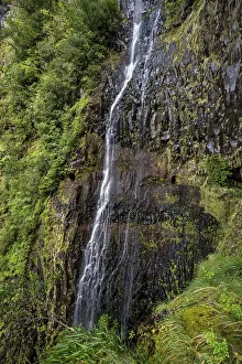 Madeira Island Wilderness Prints: Cascata do Risco waterfall, Rabacal