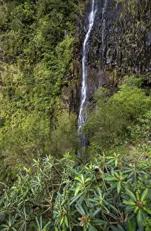 Deserted Waterfall In Madeira Prints: Cascata do Risco waterfall, Rabacal