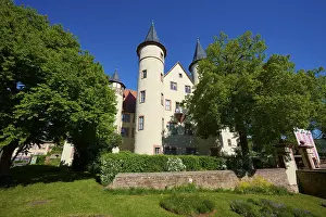 Deserted German Buildings Prints: Castle surrounded by large trees