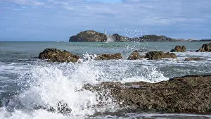 North Island Beaches NZ Prints: Castlepoint Beach and Castlepoint Lighthouse