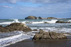 Deserted Beach In New Zealand Prints: Castlepoint Beach and Castlepoint Lighthouse