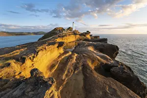 Wellington Region Photography Prints: Castlepoint lighthouse on a rock