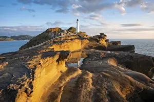 Rocky Shore Landscape Prints: Castlepoint lighthouse on a rock