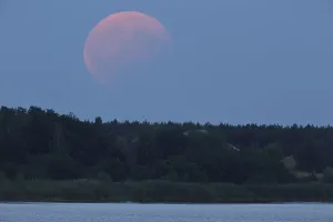 Deserted Forest Evening Scene Prints: Partial lunar eclipse on 07/08/2017